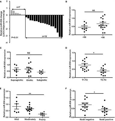 miR-936 Suppresses Cell Proliferation, Invasion, and Drug Resistance of Laryngeal Squamous Cell Carcinoma and Targets GPR78